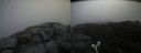 ./images/calvert/buxton2/20210714/buxton220210714_102502M.jpg