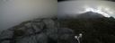 ./images/calvert/buxton2/20210714/buxton220210714_114003M.jpg