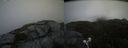 ./images/calvert/buxton2/20210714/buxton220210714_114503M.jpg