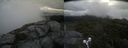 ./images/calvert/buxton2/20210715/buxton220210715_092502M.jpg