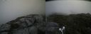 ./images/calvert/buxton2/20210715/buxton220210715_094502M.jpg