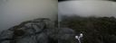 ./images/calvert/buxton2/20210715/buxton220210715_095502M.jpg