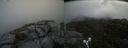 ./images/calvert/buxton2/20210715/buxton220210715_101003M.jpg