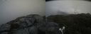 ./images/calvert/buxton2/20210715/buxton220210715_101503M.jpg