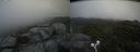 ./images/calvert/buxton2/20210715/buxton220210715_111003M.jpg