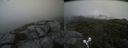 ./images/calvert/buxton2/20210715/buxton220210715_111502M.jpg