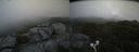 ./images/calvert/buxton2/20210715/buxton220210715_112002M.jpg