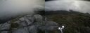 ./images/calvert/buxton2/20210715/buxton220210715_125503M.jpg