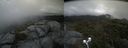 ./images/calvert/buxton2/20210715/buxton220210715_130503M.jpg