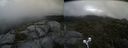 ./images/calvert/buxton2/20210715/buxton220210715_131003M.jpg