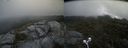 ./images/calvert/buxton2/20210715/buxton220210715_131503M.jpg