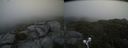 ./images/calvert/buxton2/20210715/buxton220210715_135003M.jpg