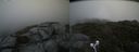 ./images/calvert/buxton2/20210715/buxton220210715_140003M.jpg