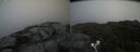 ./images/calvert/buxton2/20210715/buxton220210715_141502M.jpg