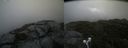 ./images/calvert/buxton2/20210715/buxton220210715_143502M.jpg