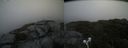 ./images/calvert/buxton2/20210715/buxton220210715_144002M.jpg