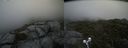./images/calvert/buxton2/20210715/buxton220210715_144502M.jpg