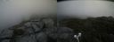 ./images/calvert/buxton2/20210715/buxton220210715_145002M.jpg