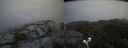 ./images/calvert/buxton2/20210715/buxton220210715_212503M.jpg