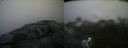 ./images/calvert/buxton2/20210716/buxton220210716_074503M.jpg