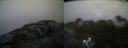 ./images/calvert/buxton2/20210716/buxton220210716_075003M.jpg