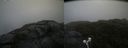 ./images/calvert/buxton2/20210716/buxton220210716_172502M.jpg