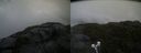 ./images/calvert/buxton2/20210716/buxton220210716_174502M.jpg