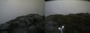 ./images/calvert/buxton2/20210716/buxton220210716_180003M.jpg