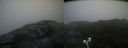 ./images/calvert/buxton2/20210716/buxton220210716_182503M.jpg