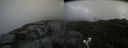 ./images/calvert/buxton2/20210719/buxton220210719_104502M.jpg