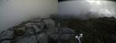./images/calvert/buxton2/20210719/buxton220210719_114003M.jpg
