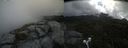 ./images/calvert/buxton2/20210719/buxton220210719_114503M.jpg