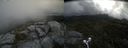 ./images/calvert/buxton2/20210719/buxton220210719_115503M.jpg