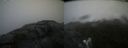 ./images/calvert/buxton2/20210720/buxton220210720_105002M.jpg