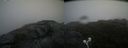 ./images/calvert/buxton2/20210720/buxton220210720_113502M.jpg
