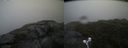 ./images/calvert/buxton2/20210720/buxton220210720_114002M.jpg