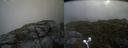./images/calvert/buxton2/20210720/buxton220210720_130503M.jpg