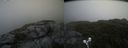 ./images/calvert/buxton2/20210720/buxton220210720_131003M.jpg