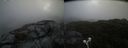 ./images/calvert/buxton2/20210720/buxton220210720_131503M.jpg