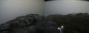 ./images/calvert/buxton2/20210721/buxton220210721_083503M.jpg