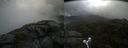./images/calvert/buxton2/20210721/buxton220210721_084003M.jpg