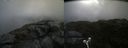 ./images/calvert/buxton2/20210721/buxton220210721_094502M.jpg