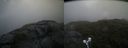 ./images/calvert/buxton2/20210721/buxton220210721_104503M.jpg