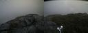 ./images/calvert/buxton2/20210721/buxton220210721_105503M.jpg
