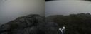 ./images/calvert/buxton2/20210721/buxton220210721_111003M.jpg