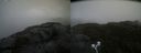 ./images/calvert/buxton2/20210721/buxton220210721_113502M.jpg