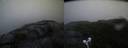 ./images/calvert/buxton2/20210722/buxton220210722_054502M.jpg