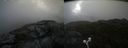 ./images/calvert/buxton2/20210722/buxton220210722_084503M.jpg