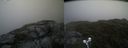 ./images/calvert/buxton2/20210722/buxton220210722_092502M.jpg
