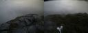 ./images/calvert/buxton2/20210723/buxton220210723_062503M.jpg